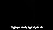 نیما تکیدو:قسمت:مسابقه ی آشپزی 🌷🌷🌷🌷🌷🌷🌷🌷🔮🔮🔮
