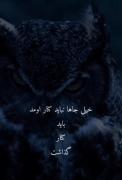 کنار گذاشتن بهتر از کنار اومدن با خیلی چیزهاست 