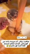 خودمم دلیلشو نمدونم...........