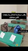 داداش میشه یه خورده روند تر و بلند تر