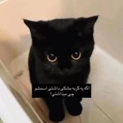 همگی بگین:)) ‌‌‌‌‌‌‌‌‌‌‌‌‌‌‌‌‌