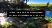 هر چی بوده از روی واقعیت بوده:)