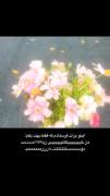 روزت مبارک قوی ترین و زیباترین آفریده ی خدا🛐💕🌷