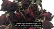 من‌ضعیف‌نبودم،حریفم‌کسی‌بودکه‌دوسش‌داشتم:))..