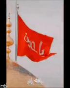 حسین تو قلبم داره ریشه.......... 