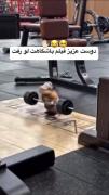 دوست عزیز ✋🏋️‌‌‌‌‌‌‌‌‌‌‌‌‌‌‌‌‌‌