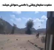حضرت سلیمان وقتی... 😂‌‌‌‌‌‌‌‌‌‌