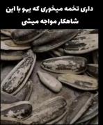 همه هم سرش دعواشونه 😂‌‌‌‌‌‌‌‌‌