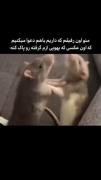 به شدت حق😂‌‌‌‌‌‌‌‌‌‌‌‌‌‌‌‌‌‌‌
