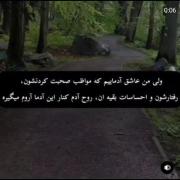 آدم کنارشون آرامش میگیره .