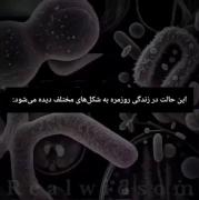 خب فکر کنم فقط من نیستم .