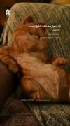 جاست عشق من Sleep.............>