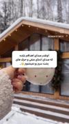 پس فقط تلاش کن کسی هم برات مهم نباشه🤍