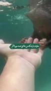 حقیقت شیرین🐾🍬🍭🪶...........