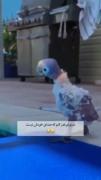 هنگام شنا مثل به دست و پا چلفتی😂