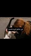 ولی اون عاشق گربه هاست🐈❤️....