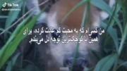 من کسی ام که به محبت کم عادت کرده 