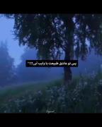 پس تو عاشق طبیعت با وایب ابی؟! 