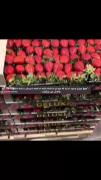 هیچ چیزی وجود نداره که مزه ای نداشته باشه ولی همه دوسش داشته باشن🙌