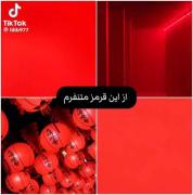 ولـــی ایـــن رنــــگا 🎀✨🫴🏻 