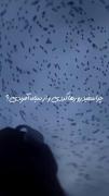 دلیل این همه نفرت از کجاست؟؟؟؟