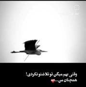 دلم می‌خواد یه مدتی همین‌جور بی‌خیال، برای خودم زندگی کنم