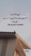 در این هیاهوی خلق که پُتک بر آرامش ات میزند دلم پیاده رویی میخواهد ,