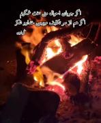  اشک ها کلماتی هستند که به زبان آوردن آن ها بسیار سخت است....