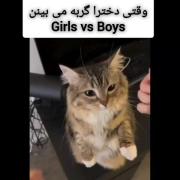  تفاوت عاشقانه گربه دختر و پسرر