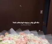 وقتی ازم میپرسن چقدذ گل دوست داری.... 