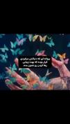 ••پـ✯ـروانـہ‌ای‌که‌دنبالش‌بودی🦋💙••