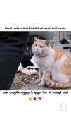 من نمیدونم چطور دلش اومد اینکارو کنه😭🥺😭🥺😭