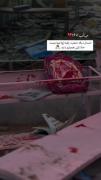 حالا کلی همبازی داره 💔🥺 ‌