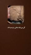 گل من یک نشانه در بدن دارد...💔
