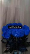گل مورد علاقمهههه💙 کپشن مهم حتما خونده بشه 🤭