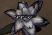 یادت نره فور کنی واسش 𓏲࣪ 💙 ִֶָ 🎥 