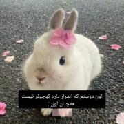 آخه کوچولو تر از تو کجاست....... 
