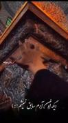 به خودم میگفتم عاشق نمیشم...💔 