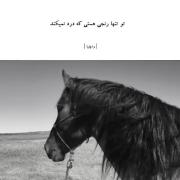 ....تنها رنج بدون درد من 🫀✨.....