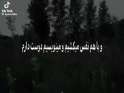 تو خیلی دوری اما من باور دارم ب معجزه:)