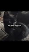 .....☆ســِتـٰآرہ آبـَـــے☆.....