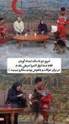 سگ امداد .