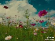 بودنت هنوز مثل بارونه.. 🍃