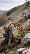 یا الله................. ♥💙♥
