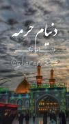 دنیام حرمه دنیامو نگیر ... امام حسین دلم برات تنگ‌شده💔