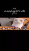 وقتی منو رفیقم دردو دل میکنیم😂