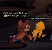 تام و جرییییییی....ولی حقققققققق😂🐈🐀