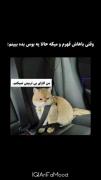 اره عزیزممم من کارای بی‌تربیتی نمیکنم🥰😂