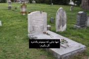 Maybe...........................