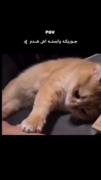 آره بهت وابسته ام ᴬᵈʳⁱᵃⁿᵃ .